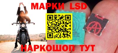 стафф Гатчина