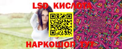 стафф Гатчина