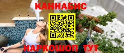 стафф Гатчина