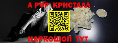 стафф Гатчина
