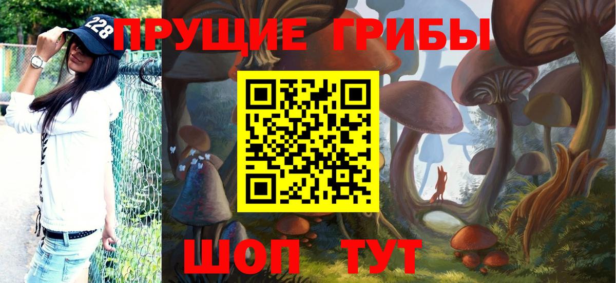 Псилоцибиновые грибы Cubensis Пушкино